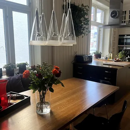 Vakker Stor Sentralt I Oslo